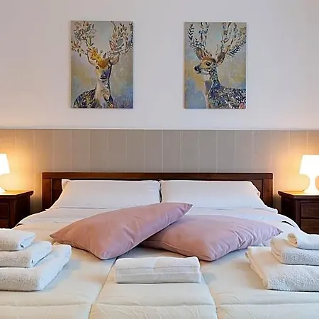Fox House L'Aquila